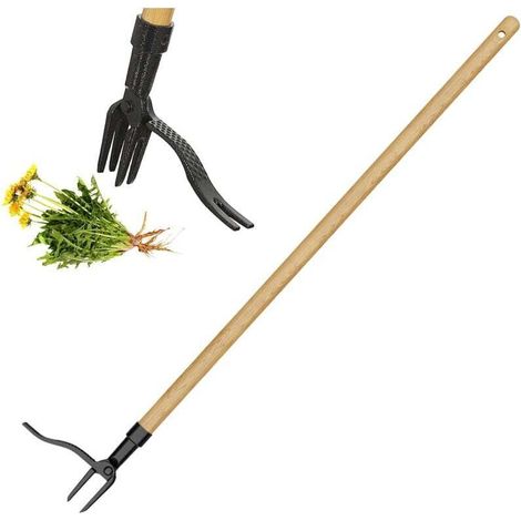 Outil de désherbage à manche long - Design à tête en acier à 4 griffes - Éliminez facilement les mauvaises herbes sans vous pencher, tirer ou vous agenouiller. (1/5)