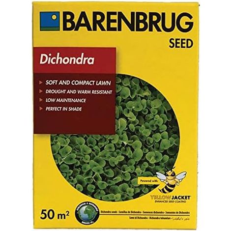 BARENBRUG SEMENTI PRATO DICHONDRA perenne  Prato compatto soffice  500G