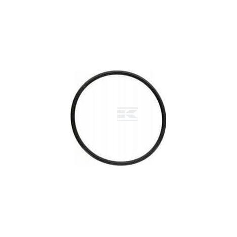 Dichtring CNH 83911411