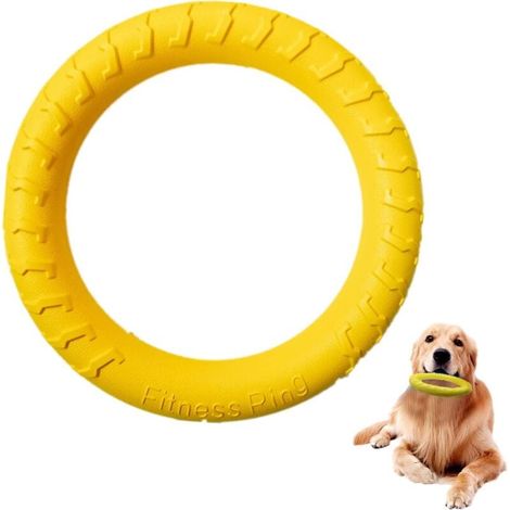 Interaktiver, schwimmender Ring für Hunde – unzerstörbares Spielzeug für Welpen und kleine Hunde, 29 cm (1/4)