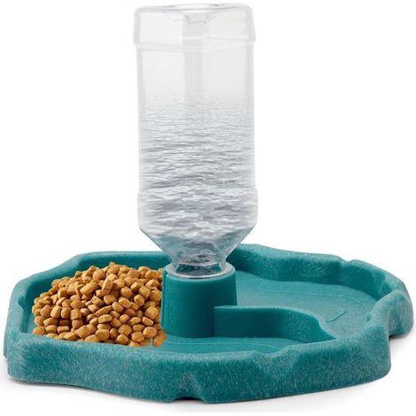 Distributeur d'eau pour Reptile 2 en 1 Abreuvoir Tortue, Bols Abreuvoir Tortue Distributeur d'eau pour Reptile Tortue Terrestre pour (1/5)