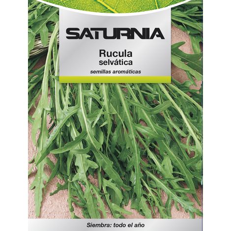 Semi aromatici di Rucula Selvatica (2,5 grammi) (1/2)
