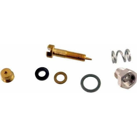 Kit vis de richesse BRIGGS ET STRATTON 299059