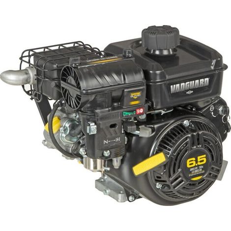 Moteur BRIGGS ET STRATTON 12V3370010F1 (1/5)