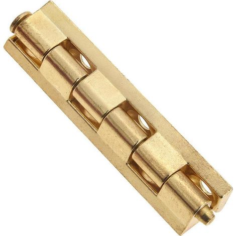 Wolfpack – Charnière détachable pour meuble – Laiton amovible – Largeur 2 cm – Hauteur 1 cm – Montage facile – Pour armoires et meubles (1/2)