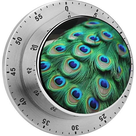 Minuteur Plume de Paon Verte, en Acier Inoxydable avec Base (1/5)