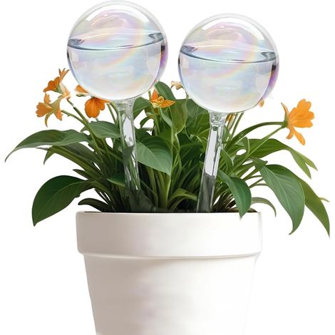 Boule Arrosage - 2 Pièces - Verre Transparent - Goutte À Goutte - Plante Intérieur Et Jardin - Décoration (1/5)
