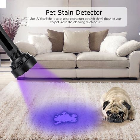 Lampe torche Scorpion violette à 100 LED, exclusive FBA, en noir (1/5)