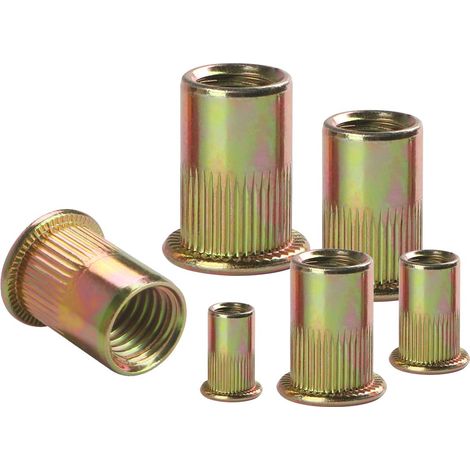 30 Pièces M5 écrous à Sertir, Ronds Aveugles Insers Fileté Riveteuse, Écrou Insert Riveter Manchon en Acier Au Carbone Galvanisé, Écrous à Rivets Flat Head Threaded Rivet Nuts (1/5)