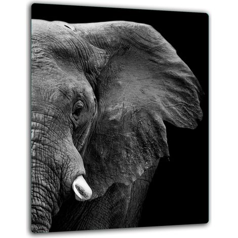 PIASTRA DI PROTEZIONE IN VETRO PER PIANO COTTURA A INDUZIONE 40x52 ELEFANTE (1/5)