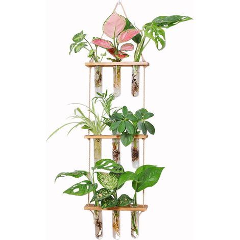Jardinière suspendue en bouteille écologique, avec cadre en bois, vase à trois niveaux en forme de tube à essai, pot de fleurs suspendu vintage en verre, jardinière hydroponique (1/4)