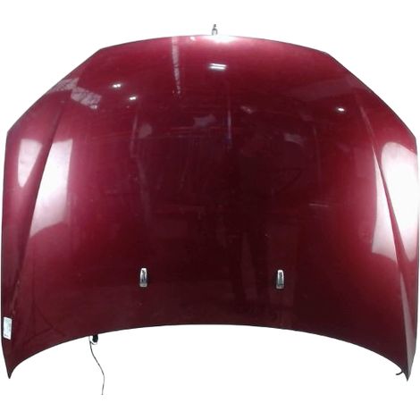 Capot FORD Mondeo 2000-2007 [PRODUIT D'OCCASION]♻️1445668 (1/4)