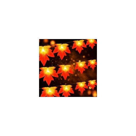 Guirlande Lumineuse, 3M 20 LED Guirlande Lumineuse en Feuille d'érable, Pile Guirlande de Lumière IP65 Etanche, pour Thanksgiving Noël, Blanc Chaud (1/5)
