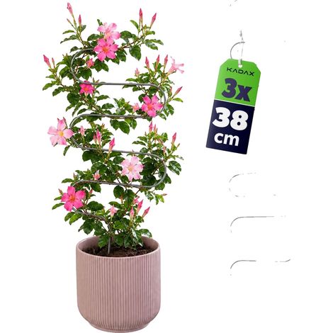 Soporte para enrejado, construcción metálica, forma de "S", se adapta a varios tamaños de macetas, soporte estable para plantas trepadoras, fácil de reubicar. (1/5)