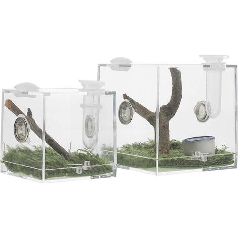 Set mit 2 transparenten Boxen für Springspinnen, Lebensraum für Springspinnen, Insektenkästen aus Acryl – 6,8 x 6,8 cm (1/3)