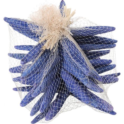 Stelle Marine Colorate 10 Pz 15x20 cm