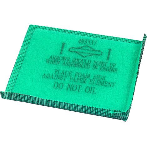 Filtro aria Briggs and Stratton 493537S (1/2)