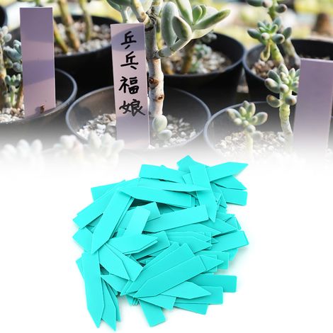 100 étiquettes étiqueteuses en plastique pour graines de fleurs et plantes (1/5)