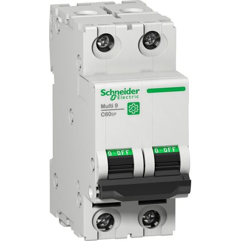Interruptor automático C60N de SCHNEIDER 2 polos 40A con protección UL1077.