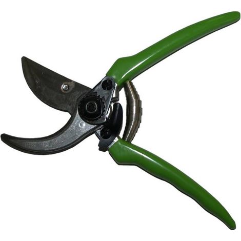 Sécateur avec Fermeture 210 mm - Précision et Confort - Idéal pour le Jardinage - Usage Professionnel - Beast