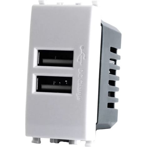 Modulo presa doppia USB da muro per placca cassetta 503 compatibile con Vimar Plana 5V 2 Usb bianco (1/3)