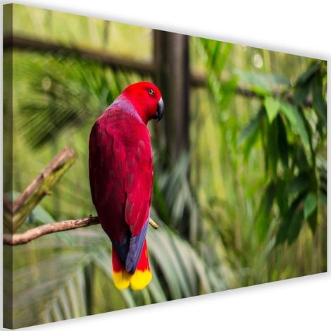 Tableau sur toile Perroquet Paradis Oiseaux Nature 60x40 (1/5)