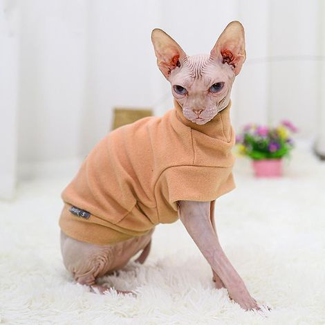 Pull d'hiver douillet pour chiens et chats (1/5)