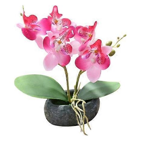 Orchidée papillon artificielle, bonsaï, fausse fleur, décoration pour la maison ou le bureaurose (1/5)