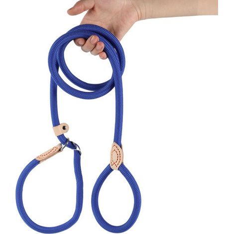 Correa para perros de 150 cm con mecanismo deslizante, apta para cachorros, perros pequeños, medianos y grandes. 14 mm x 150 cm, amarillo claro (1/5)