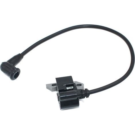 Module d'allumage pour Stihl Souffleur à dos BR320 BR340 BR320L BR340L BR380 BR420 BR420C Atomiseur SR320 SR340 SR400 SR420 souffleuse 4203 400 1301 4203 400 1302 (1/4)