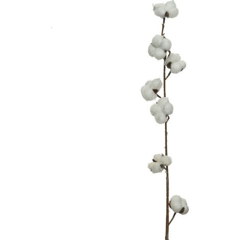 RAMOSCELLO COTONE 100CM