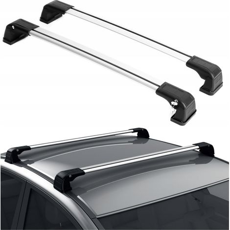 Porte-bagages arrière pour Opel Vivaro, année 2019 (1/5)