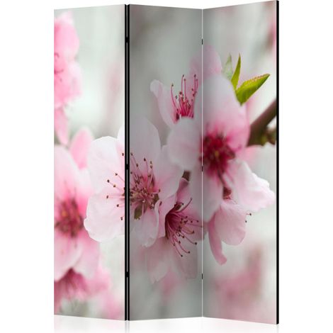 Paravent 3 Volets "Spring Blooming Tree Pink Flowers" 135x172cm (1/2)