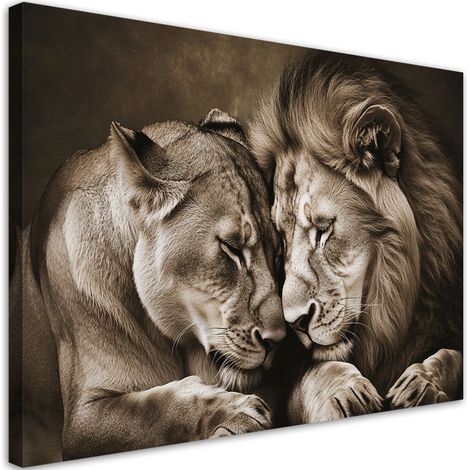 Cuadro sobre Lienzo Pareja de leones y leonas animales naturaleza 30x20 (1/5)