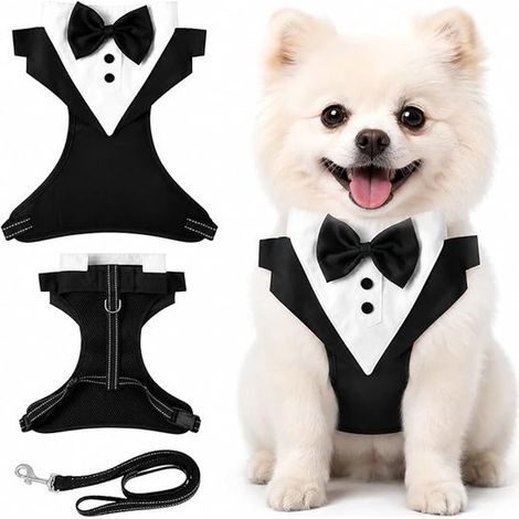 Collier - Robe de soirée - Smoking pour chien - Costume pour chien - Manteau pour chien - Vêtements pour animaux - Convient pour les mariages, fêtes, anniversaires et réunions de famille - Taille M No (1/5)