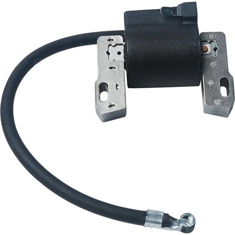 Ersetzen Sie die Antriebswelle durch Briggs & Stratton Magneto Armature 495859 491312 490586 492341 Nouveau (1/4)