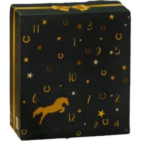 Calendrier de l'Avent design ciel d'hiver avec compte à rebours de 24 jours de chevaux,Horse Calendrier de l'Avent 2026, cadeaux et surprises pour propriétaires de chevaux,cavaliers et écuries (Noir)