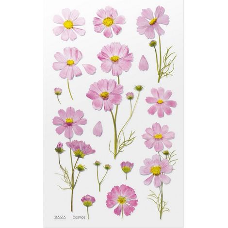 Adesivi decorativi a forma di fiore - Aster
