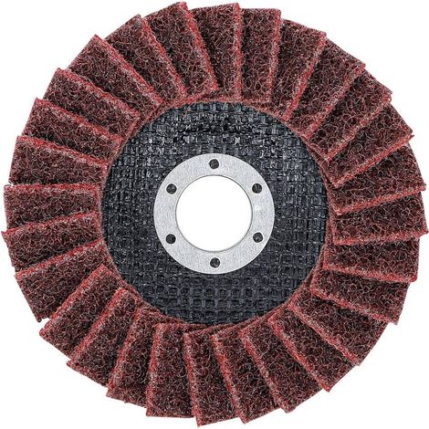 Disque à Lamelles Non-Tissé D.125 mm - Grain 120 - Ponçage Précis et Durable - D-Work (1/5)