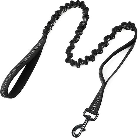 Elastic Dog Lead with Two Handles Black (1/5)