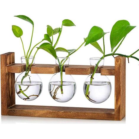 Terrarium en verre avec support en bois rétro, 3 vases ampoules, station de bouturage et jardinière d'intérieur – Décoration de bureau pour les amoureux des plantes (1/5)