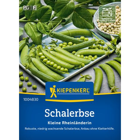 Kiepenkerl Saatgut Schalerbsen Kleine Rheinländerin für ca. 2,4 – 4 m² (1/2)