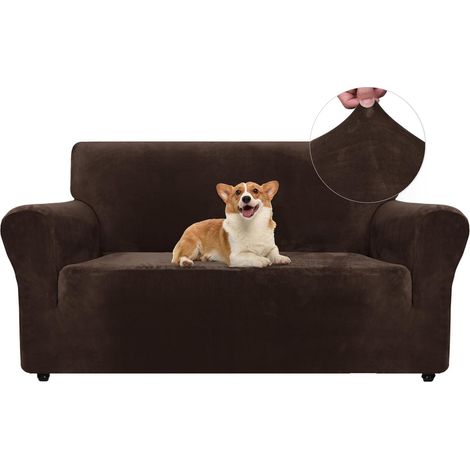 1 Housse de canapé, Velours extensible, Polyester durable, Antidérapant avec mousse, Protection animaux salon