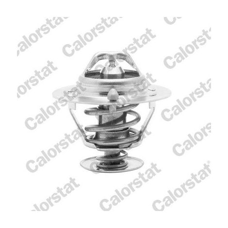 Thermostat, liquide de refroidissement CALORSTAT by Vernet TH6294.82J GENESIS