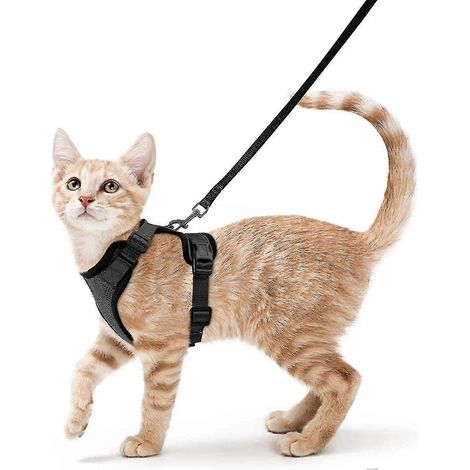 Sangle de promenade pour chat en cuir, gilet anti-fugue souple et réglable, veste respirante facile à contrôler, noir, X (1/4)