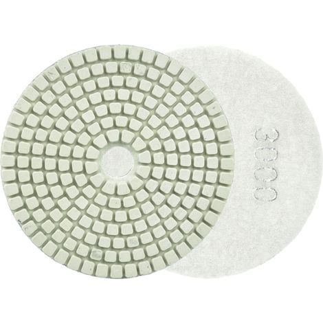 Polierscheibe zum Nassschleifen von Steinzeug 100 mm GR3000 (5/25/250) (1/4)