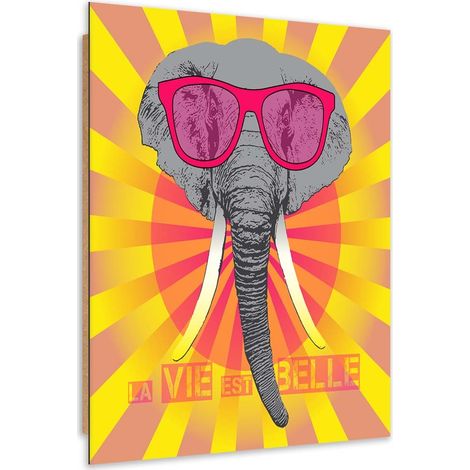 Quadro deco panel, Elefante con occhiali - 60x90 (1/5)