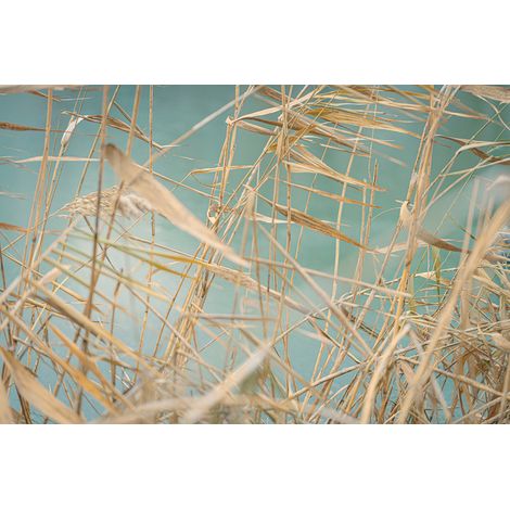Papier peint panoramique - Feuilles - 130 cm x 87 cm (1/2)
