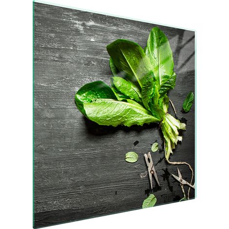 GLASSCHUTZPLATTE FÜR HERD 50x52 BASIL (1/5)