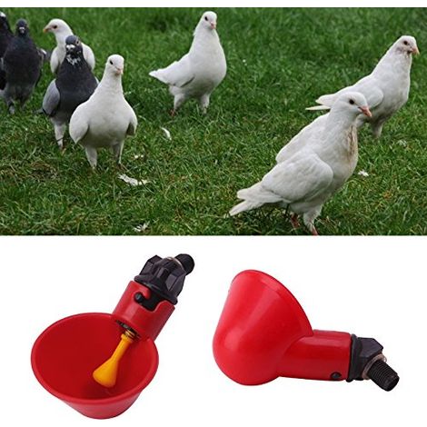 10 Pièces Automatique pour Volaille Tasses à Boire De l'eau De Volaille Mangeoire à Oiseaux Abreuvoir en Plastique Automatique pour Poulet Poule Poulailler Poulailler Arc d'alimentation (1/5)